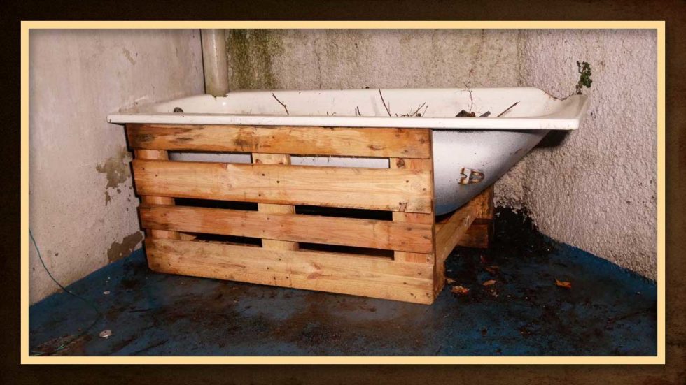 Hochbeet selber bauen und anlegen Made By Myself
